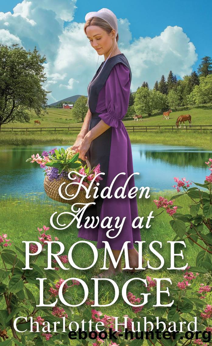 Hidden Away at Promise Lodge by Charlotte Hubbard