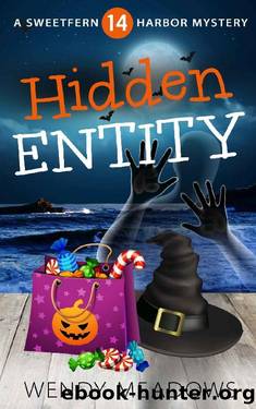 Hidden Entity (Sweetfern Harbor Mystery Book 14) by Wendy Meadows