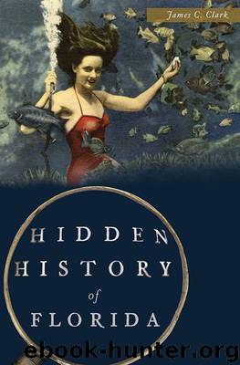 Hidden History of Florida by Clark James C