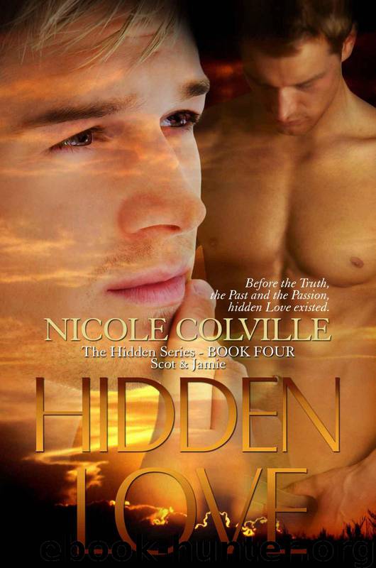 Hidden Love (The Hidden Series) by Colville Nicole