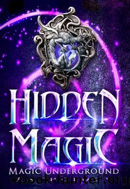 Hidden Magic by unknow