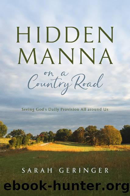 Hidden Manna on a Country Road: Seeing God's Daily Provision All Around Us by Sarah Geringer