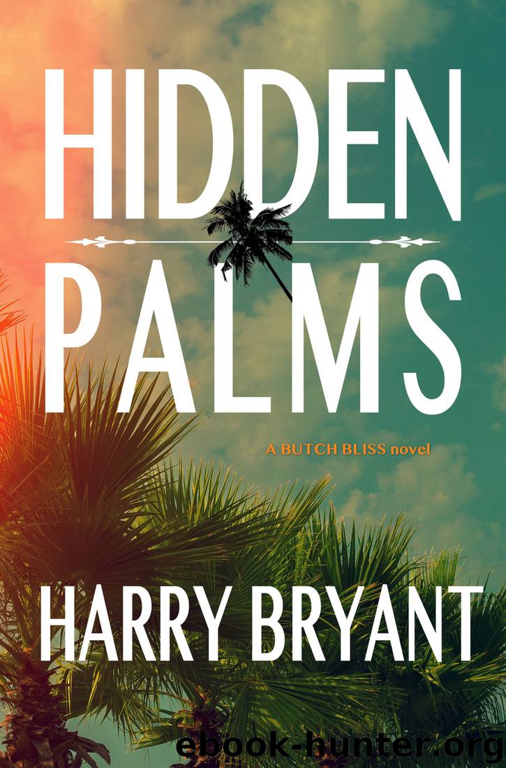 Hidden Palms by Harry Bryant