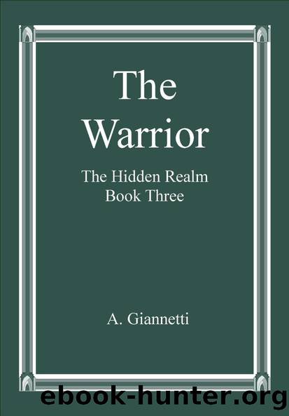 Hidden Realm 3 The Warrior by A. Giannetti
