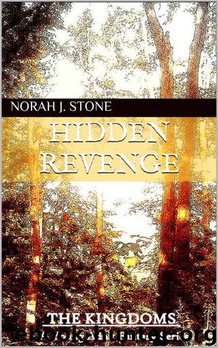 Hidden Revenge by Norah J. Stone