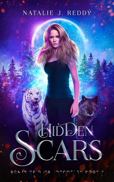 Hidden Scars by Natalie J. Reddy