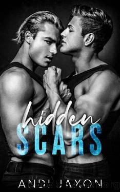 Hidden Scars: An MM Hockey Romance by Andi Jaxon