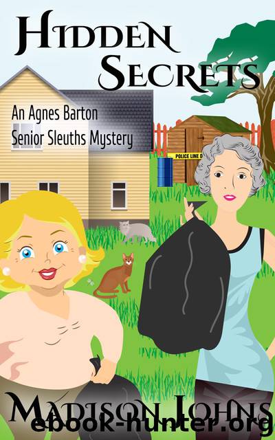 Hidden Secrets by Madison Johns