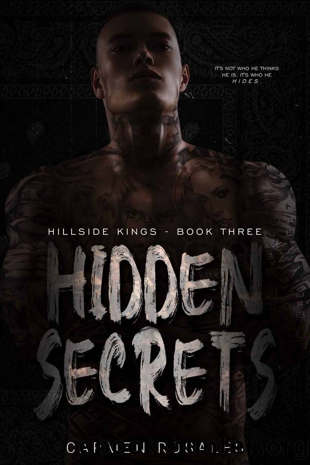 Hidden Secrets: Hillside Kings Book 3 by Rosales Carmen