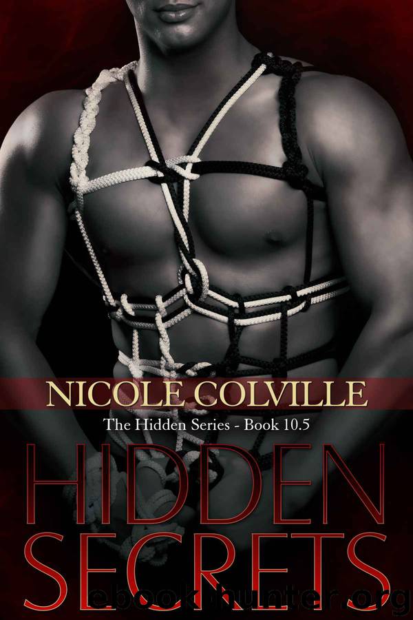 Hidden Series 10.5 - Hidden Secrets by Nicole Colville
