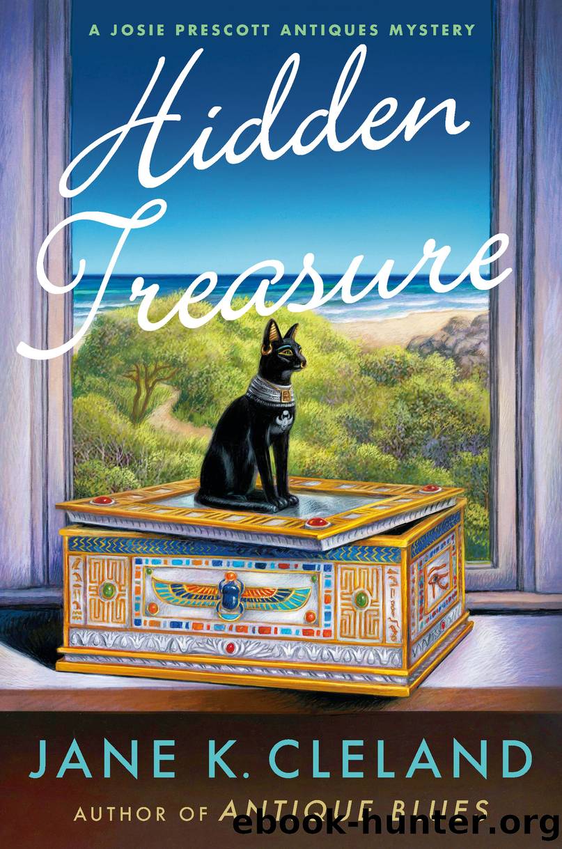 Hidden Treasure by Jane K. Cleland