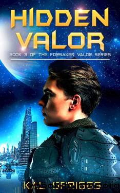 Hidden Valor (Forsaken Valor Series Book 3) by Kal Spriggs
