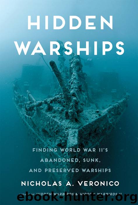 Hidden Warships by Nicholas A. Veronico