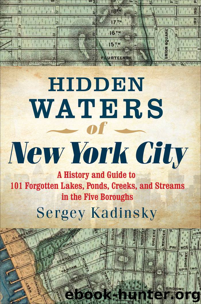 Hidden Waters of New York City by Sergey Kadinsky