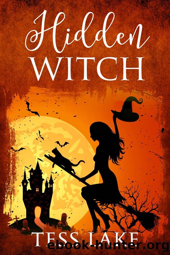 Hidden Witch by Tess Lake