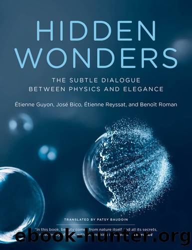 Hidden Wonders: The Subtle Dialogue Between Physics and Elegance by unknow