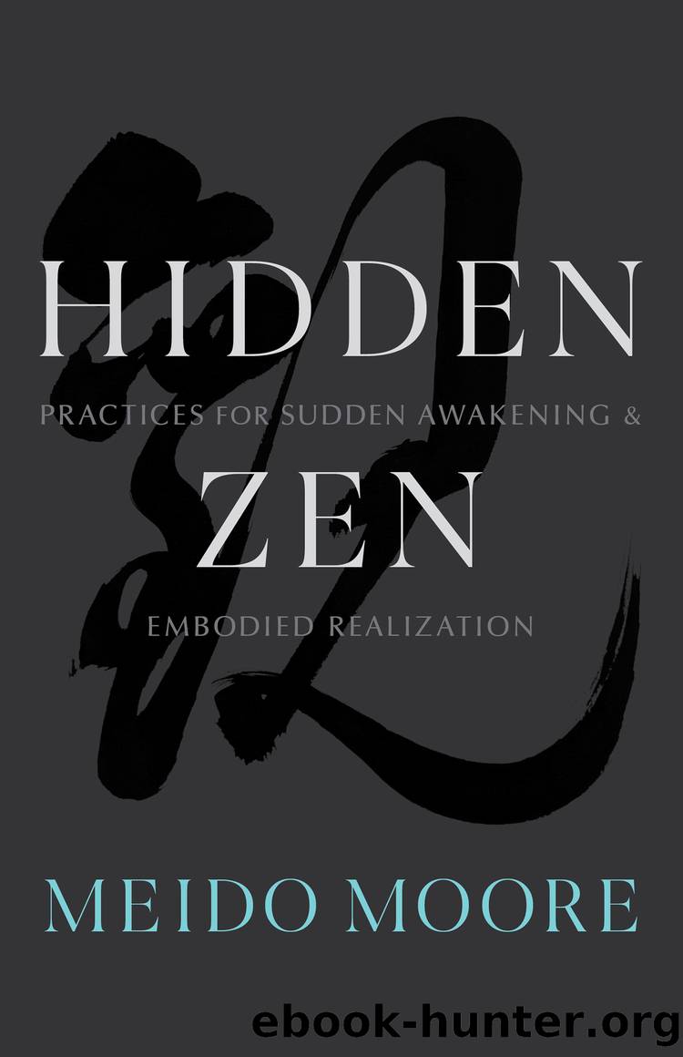 Hidden Zen by Meido Moore