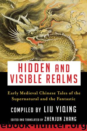 Hidden and Visible Realms by Zhenjun Zhang