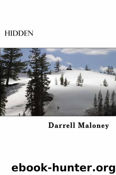 Hidden by Darrell Maloney