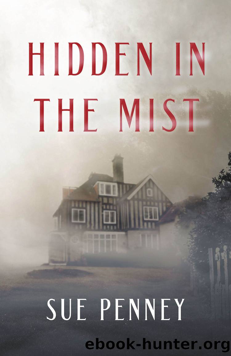 Hidden in Mist by Sue Penney
