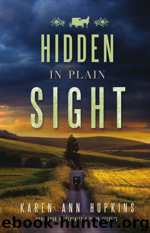 Hidden in Plain Sight (Serenity's Plain Secrets Book 4) by Hopkins Karen