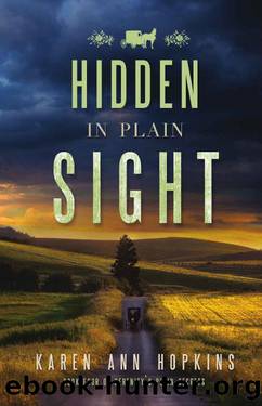Hidden in Plain Sight (Serenity's Plain Secrets Book 4) by Karen Ann Hopkins