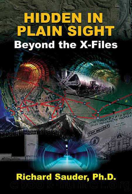 Hidden in Plain Sight: Beyond the X-Files by Richard Sauder Phd