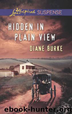 Hidden in Plain View by Diane Burke