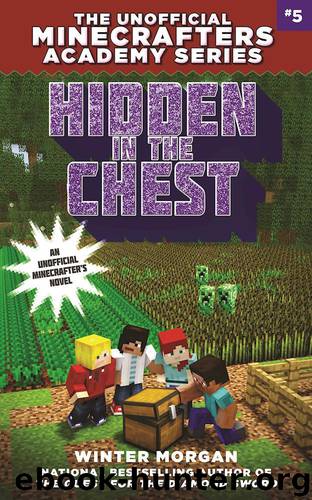Hidden in the Chest by Winter Morgan