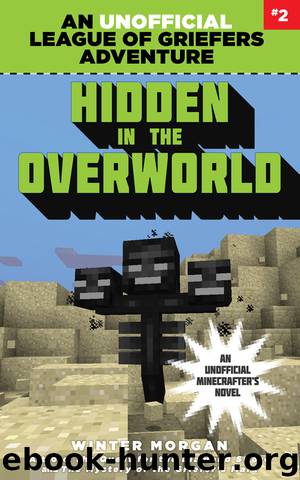 Hidden in the Overworld by Winter Morgan
