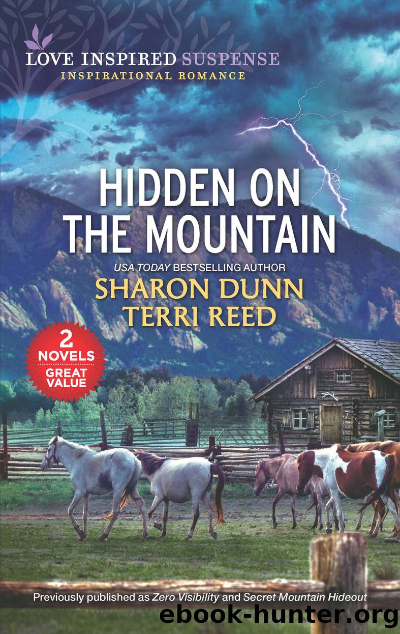 Hidden on the Mountain by Sharon Dunn