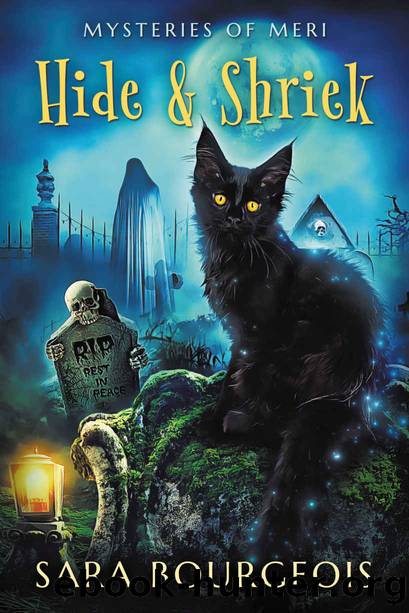 Hide & Shriek: Mysteries of Meri (Familiar Kitten Mysteries Book 18) by Sara Bourgeois