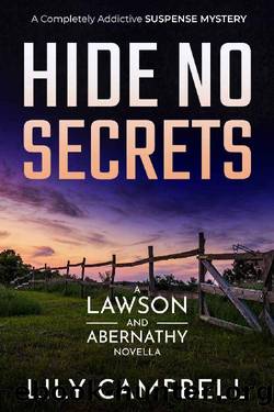 Hide No Secrets by Lily Campbell