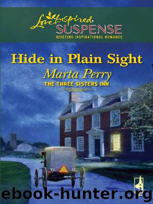 Hide in Plain Sight and Buried Sins by Marta Perry