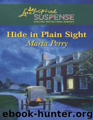 Hide in Plain Sight by Perry Marta