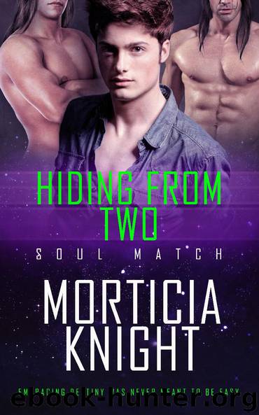 Hiding From Two by Morticia Knight