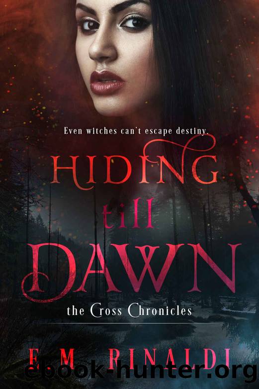 Hiding Till Dawn by E M Rinaldi