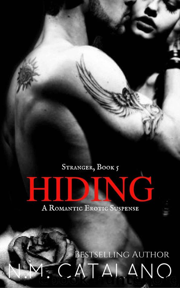 Hiding by N M Catalano