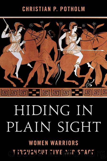 Hiding in Plain Sight by Christian P. Potholm
