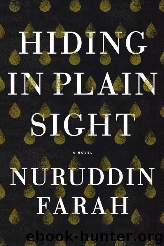 Hiding in Plain Sight by Nuruddin Farah