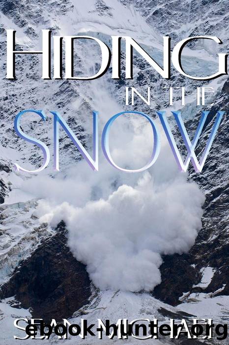 Hiding in the Snow by Sean Michael
