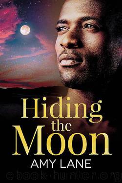Hiding the Moon (Fish Out of Water Book 4) by Amy Lane