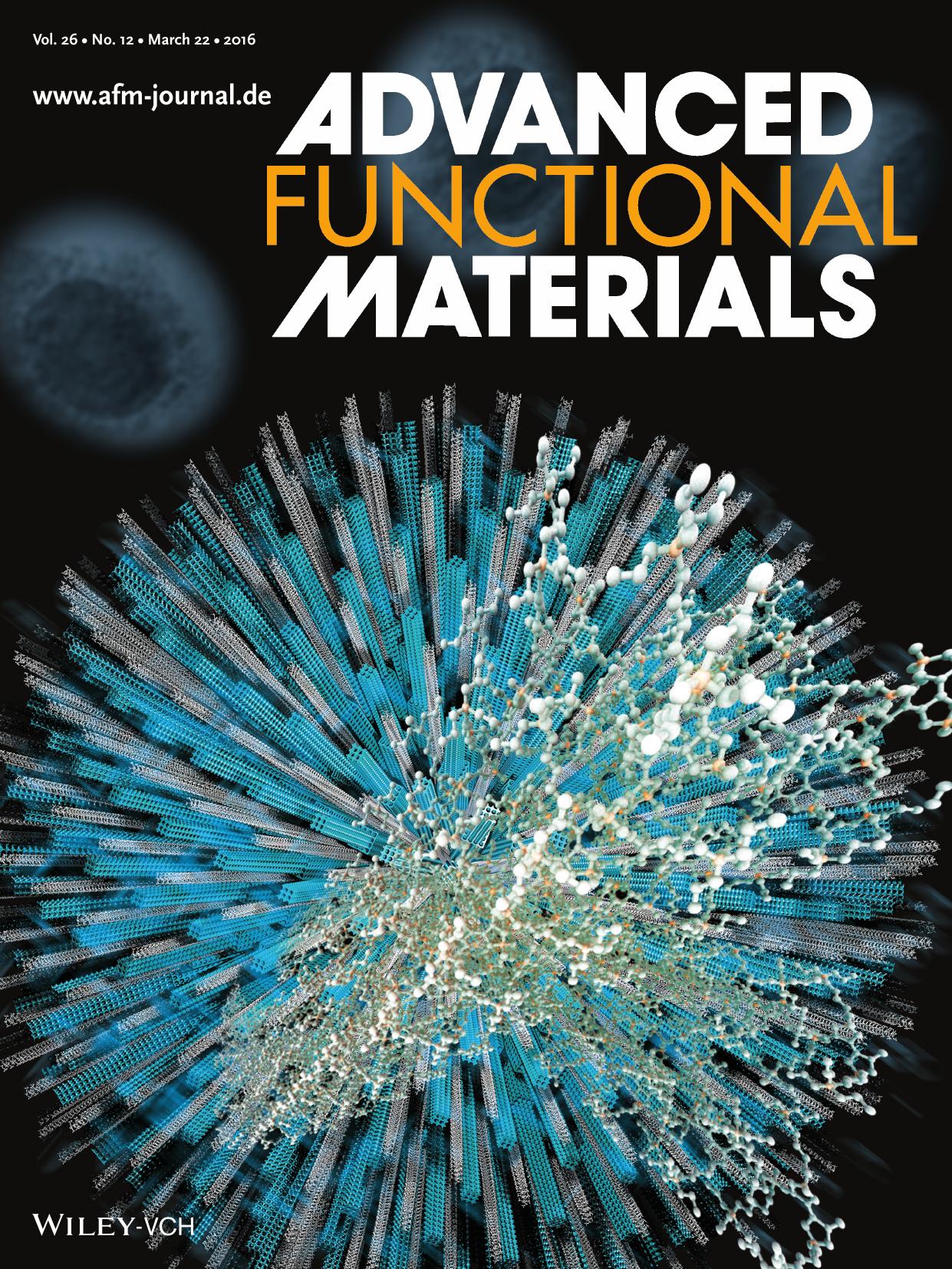 Hierarchial Zeolites: Beyond Creation of Mesoporosity: The Advantages of Polymer&#x02010;Based Dual&#x02010;Function Templates for Fabricating Hierarchical Zeolites (Adv. Funct. Ma by Unknown