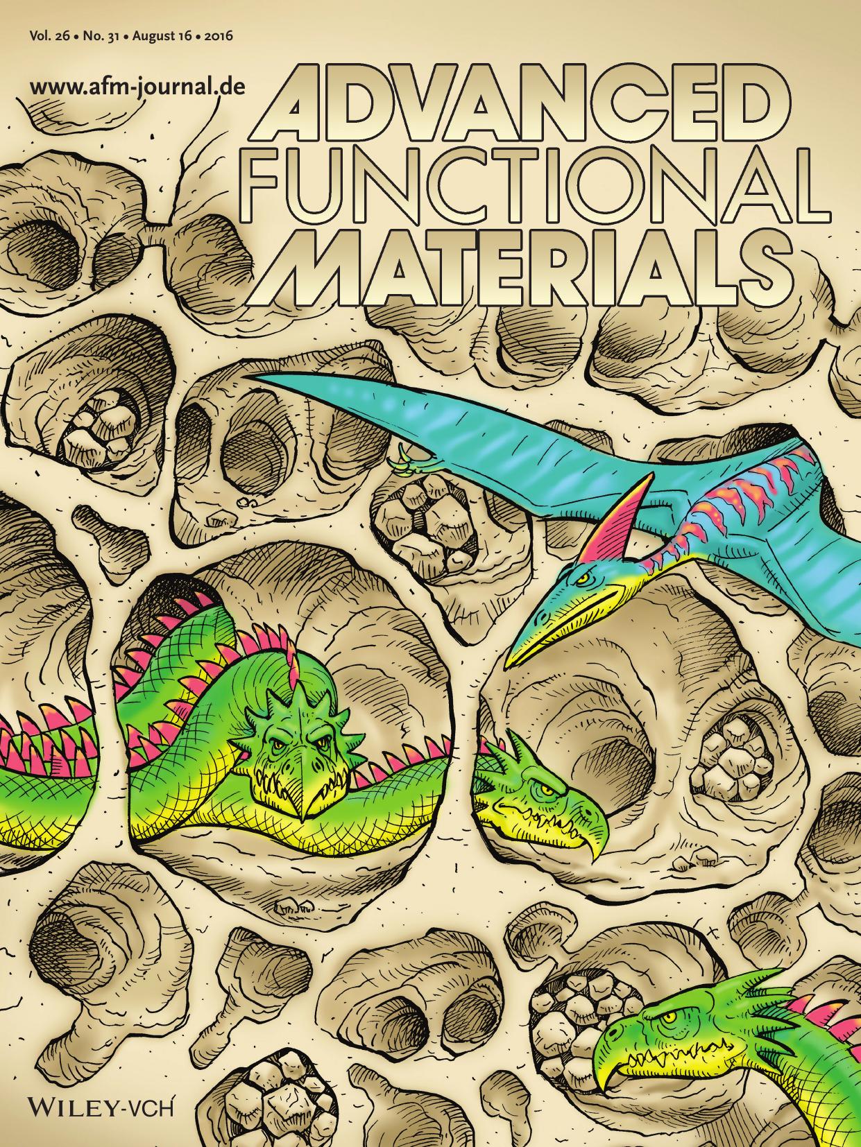 Hierarchical Structures: Quantifying the Complex Pore Architecture of Hierarchical Faujasite Zeolites and the Impact on Diffusion (Adv. Funct. Mater. 31/2016) by Unknown