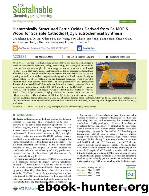 Hierarchically Structured Ferric Oxides Derived from Fe-MOF-5-Wood for Scalable Cathodic H2O2 Electrochemical Synthesis by unknow