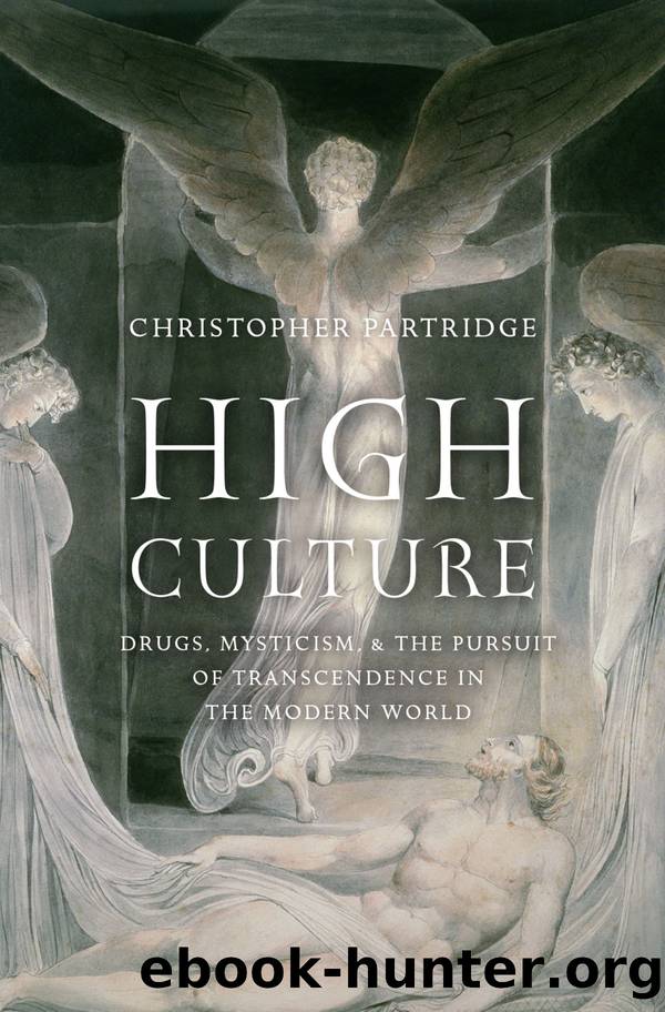 High Culture by Partridge Christopher;