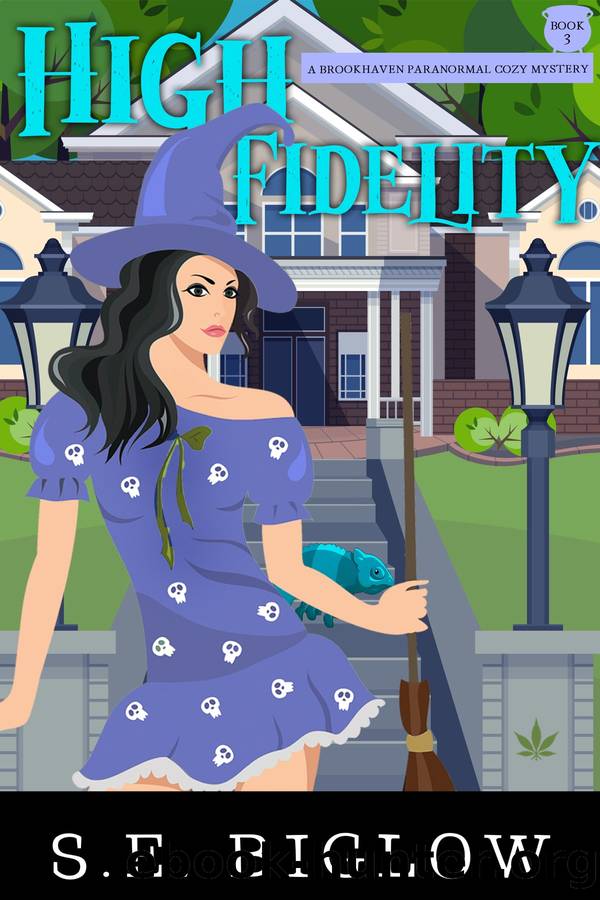 High Fidelity by S.E. Biglow