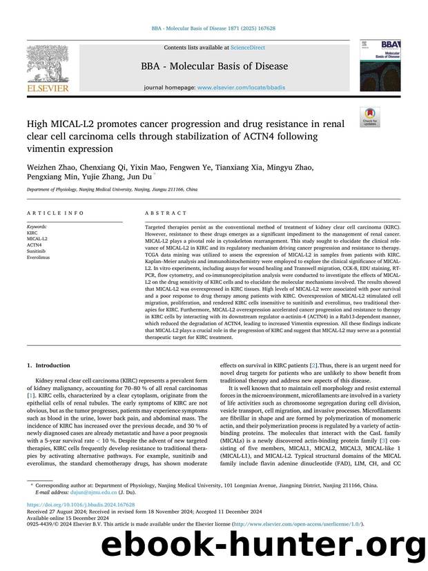 High MICAL-L2 promotes cancer progression and drug resistance in renal clear cell carcinoma cells through stabilization of ACTN4 following vimentin expression by unknow