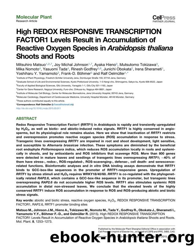 High REDOX RESPONSIVE TRANSCRIPTION FACTOR1 Levels Result in Accumulation of Reactive Oxygen Species in Arabidopsis thaliana Shoots and Roots by unknow