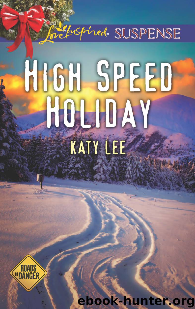 High Speed Holiday by Katy Lee